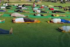 11th International Yoga Day Celebration - "Yoga for One Earth, One Health"